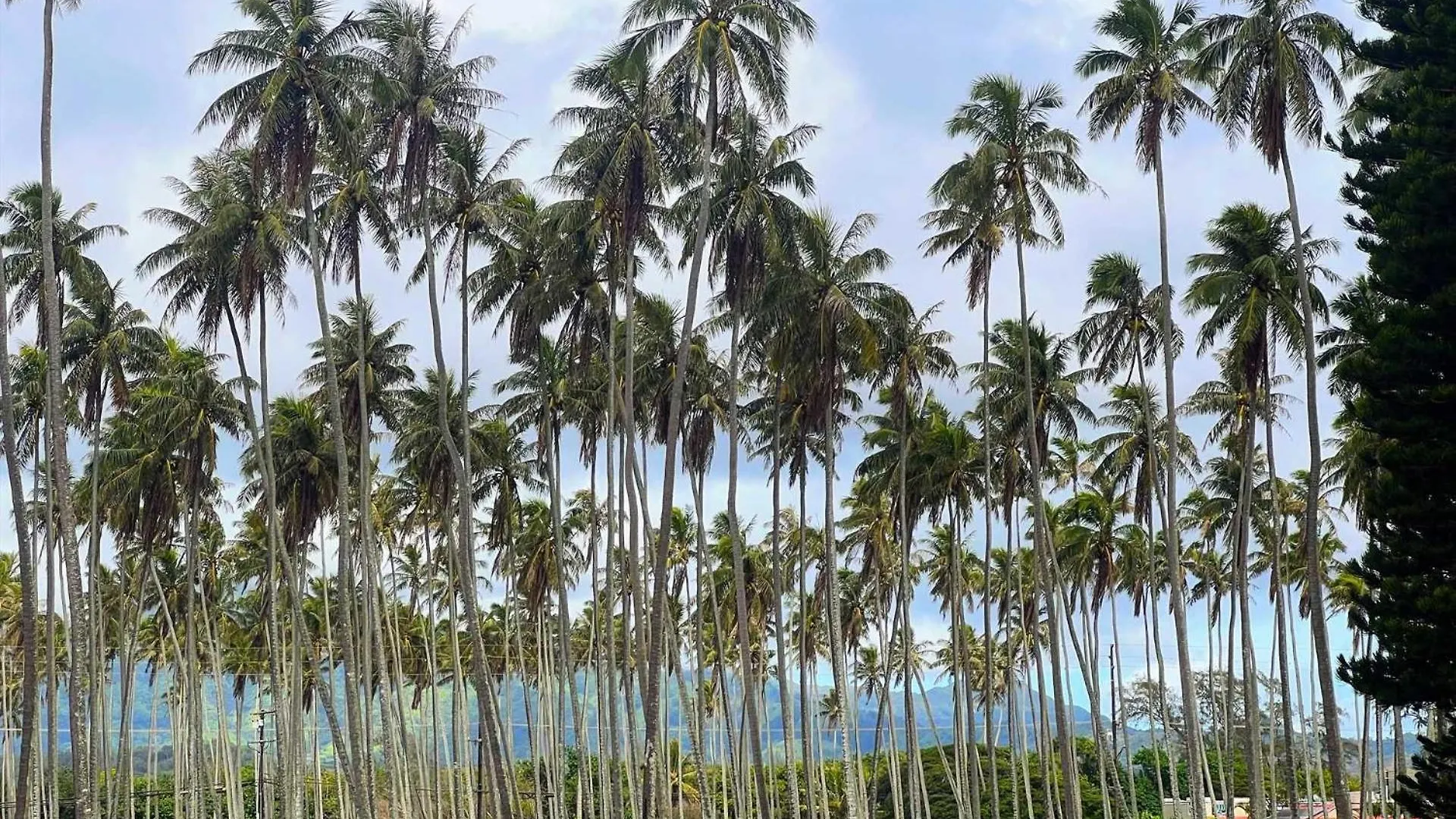Islander On The Beach 153 Kapa'a 0*,  USA